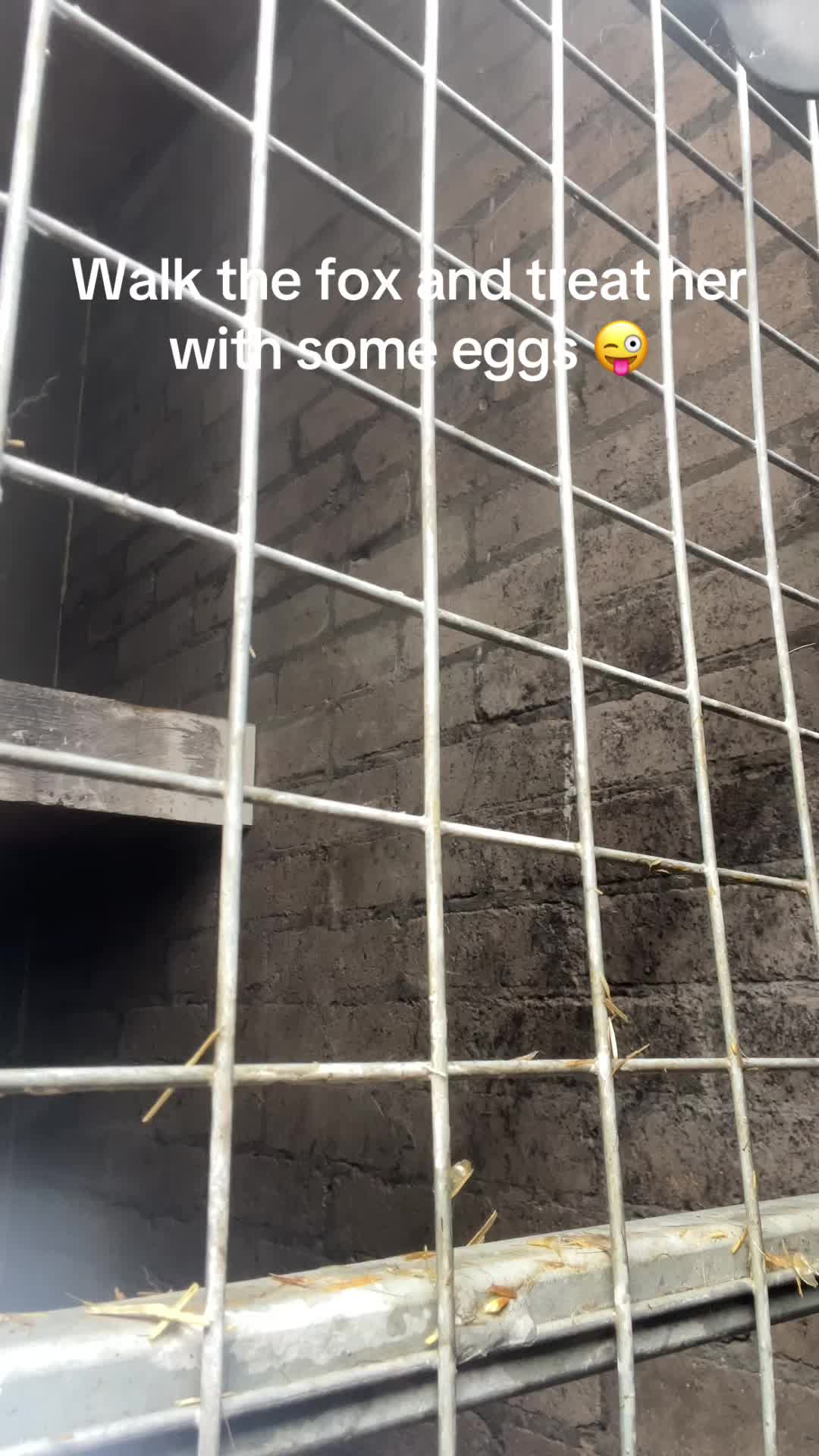 @phatz1990