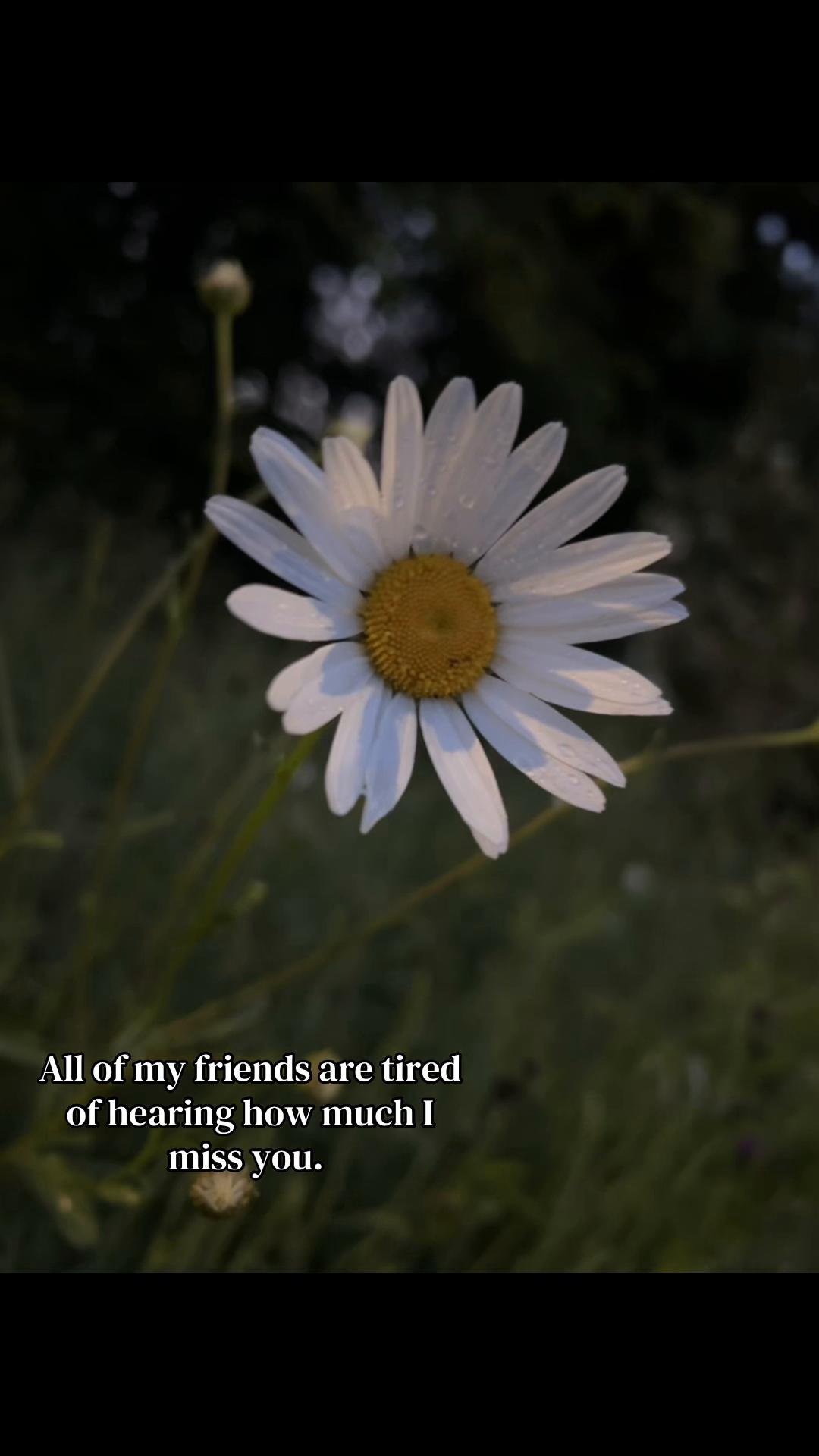 @ℳ𝒾𝒶🍃