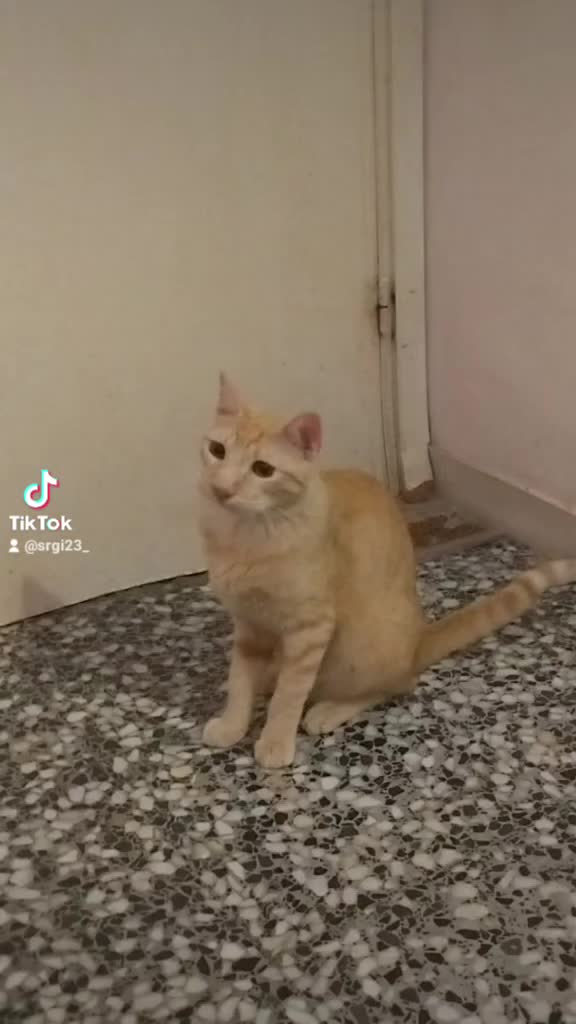 @srgi23_