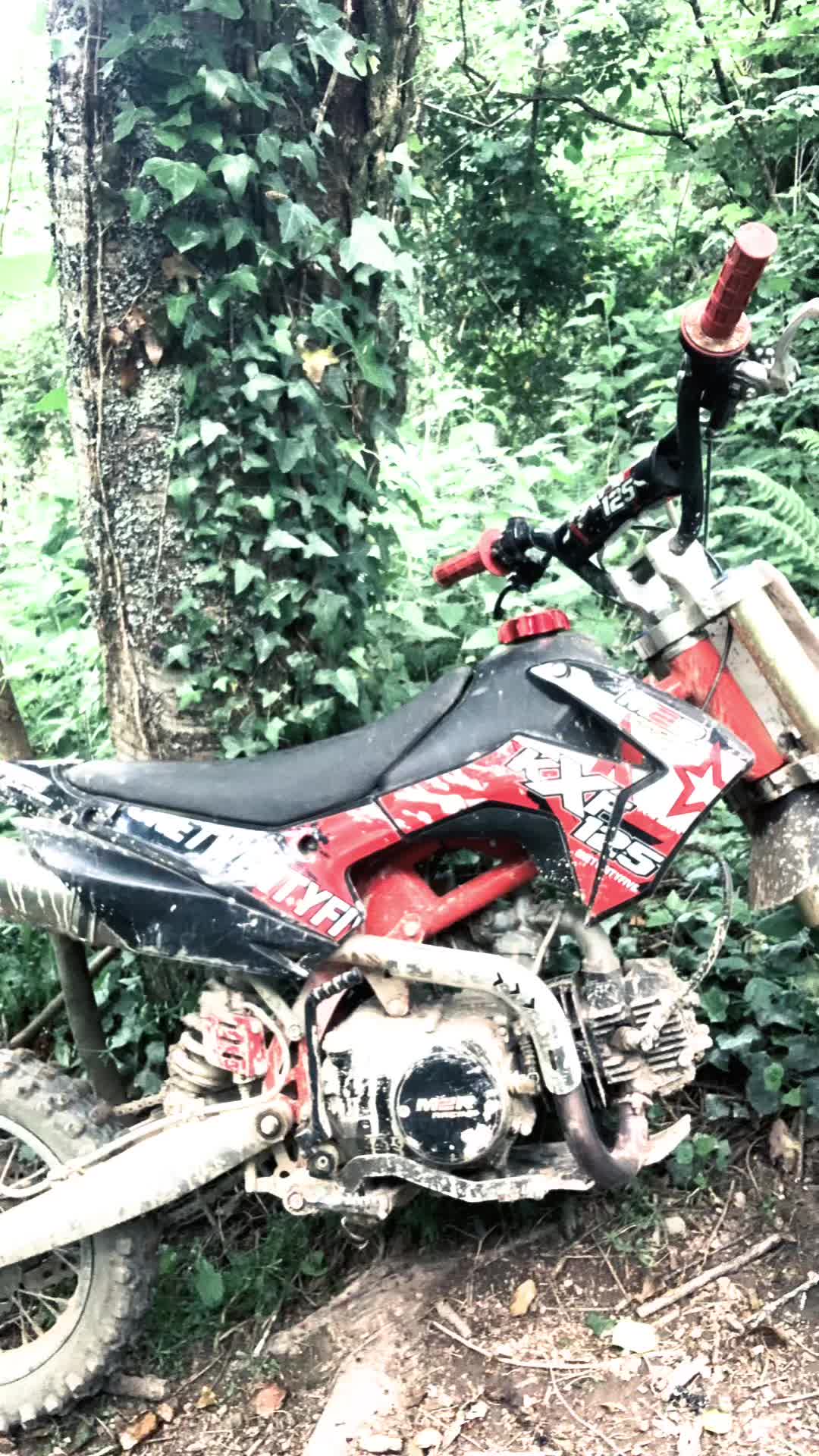 @🖕😐✌️
