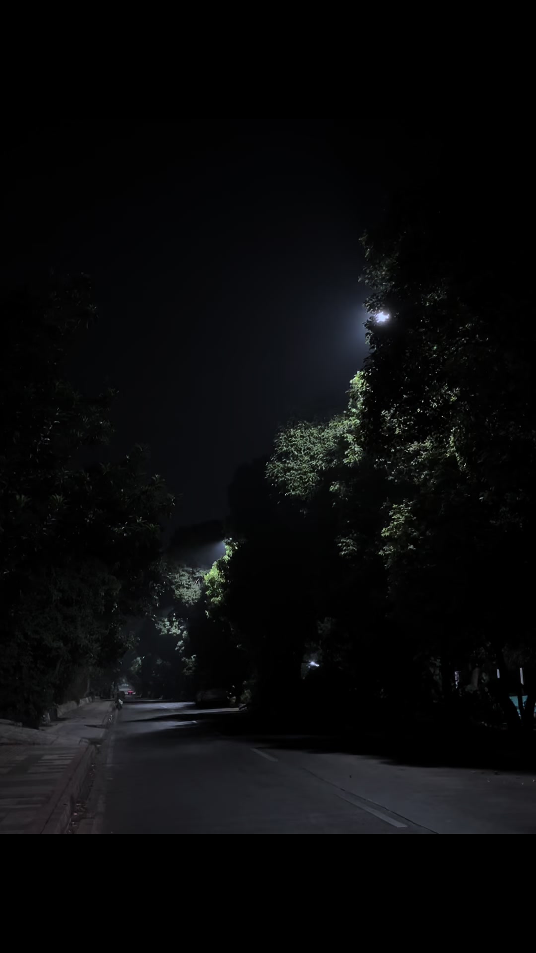 @𝗚𝗿𝗶𝗺𝗼𝗶𝗿𝗲