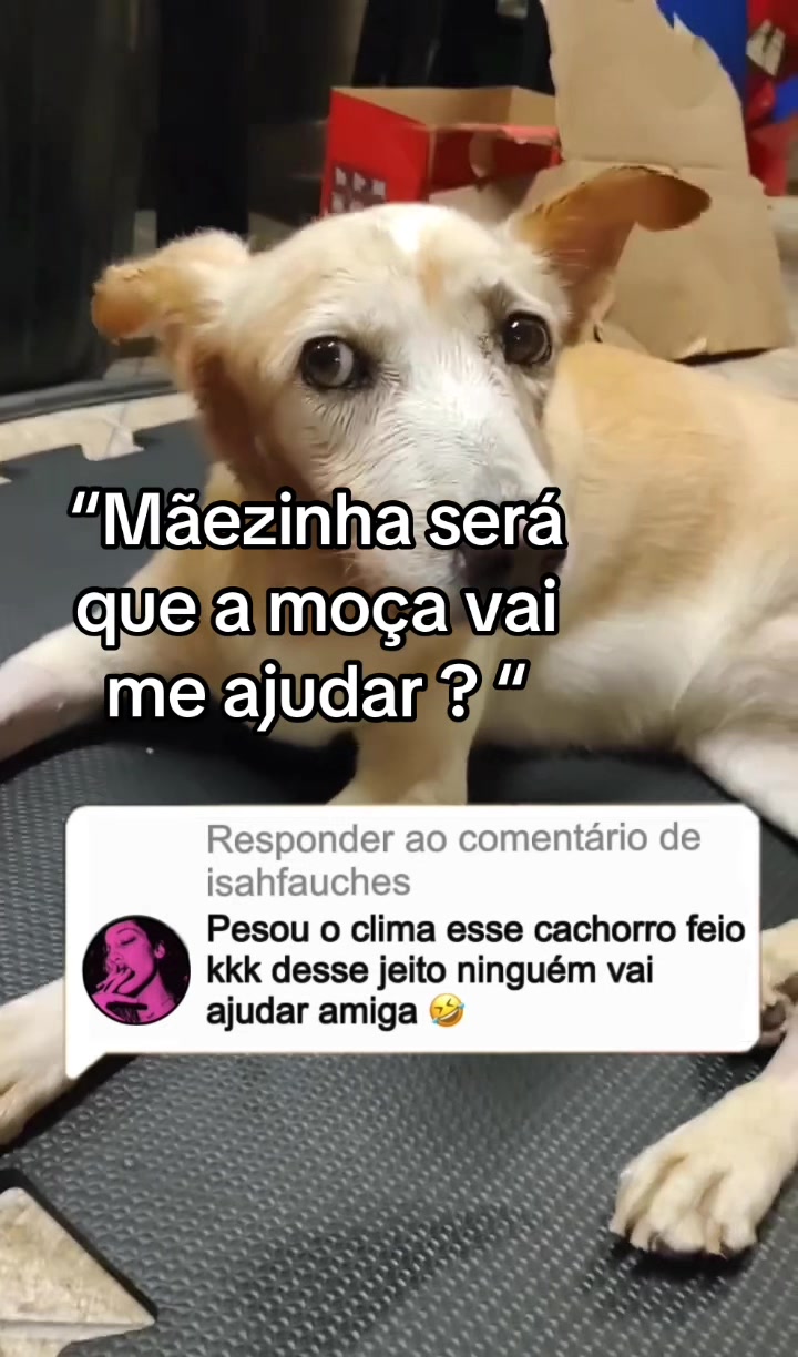 @Ajude a Lola