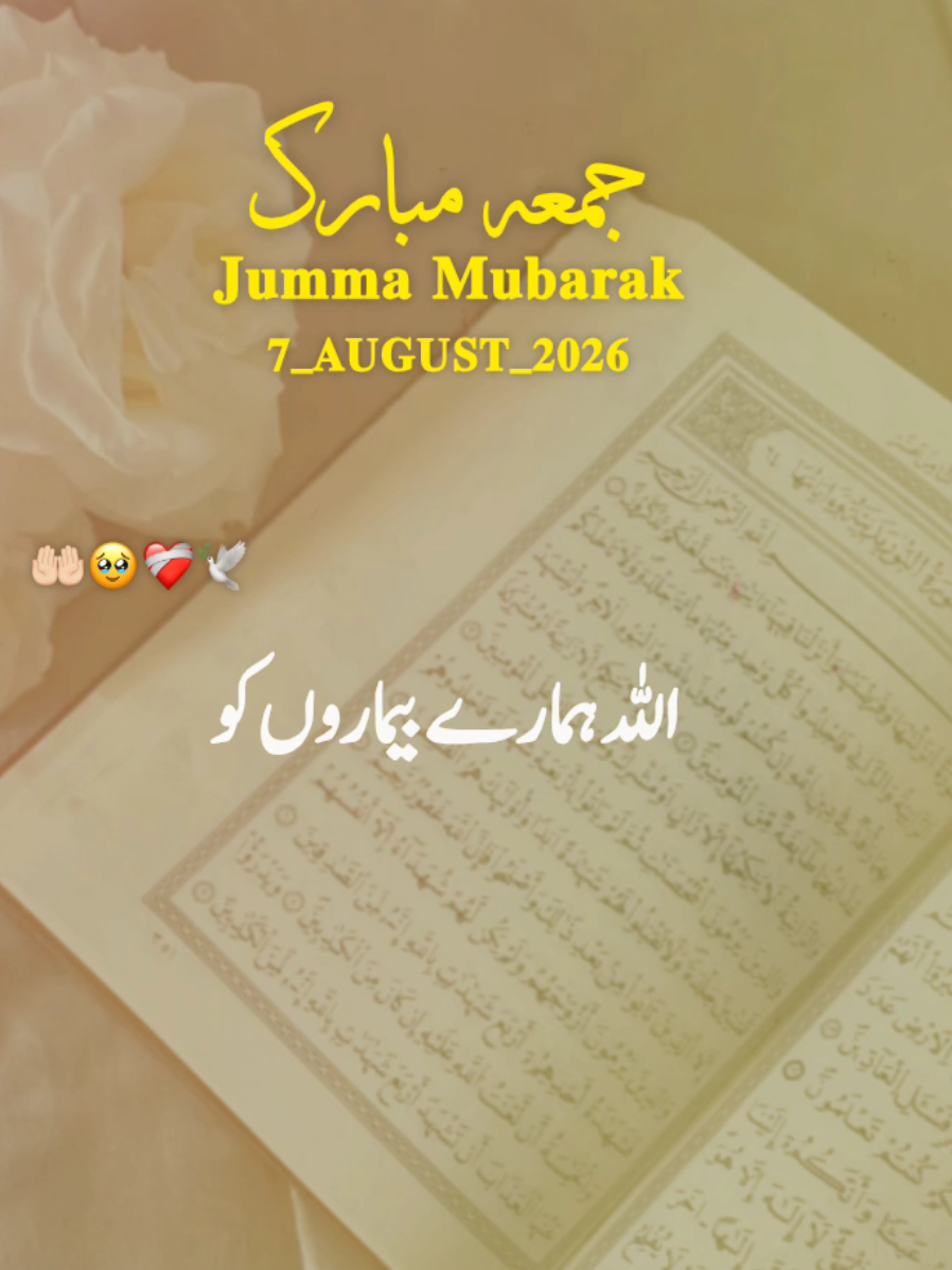 @𝐒𝐀𝐐𝐈𝐁 𝐄𝐃𝐈𝐓𝐒✨️