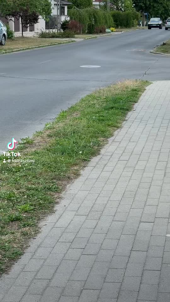 @Fodrász Timi