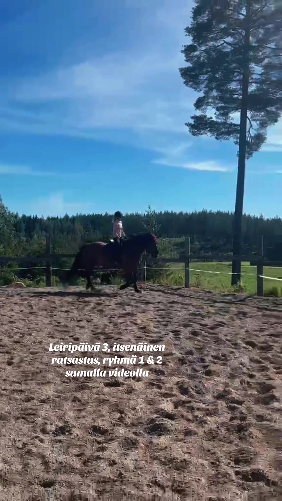 @Ponirannan talli🇫🇮🐎