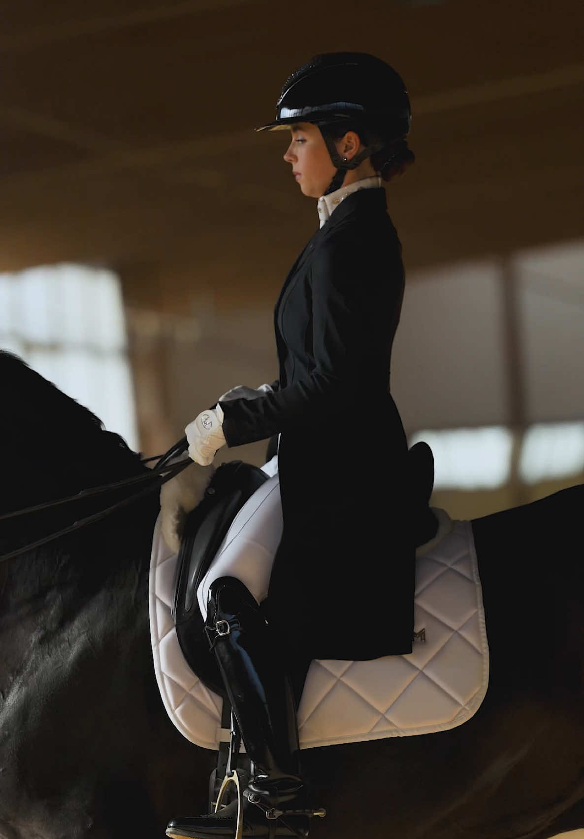 @Maximilian Equestrian