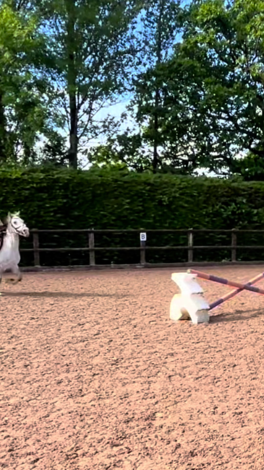 @poppy🐴 🇬🇧