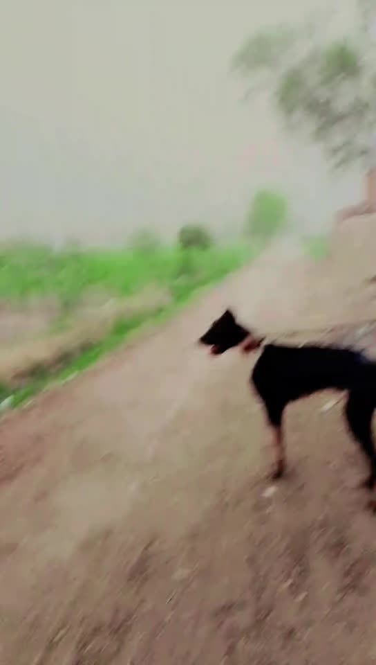 @Usman Dogar Pinda ayla