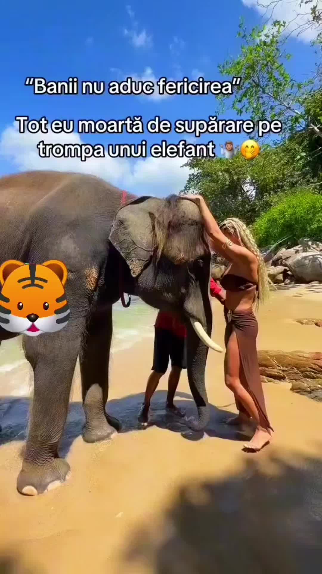 @Blonda97