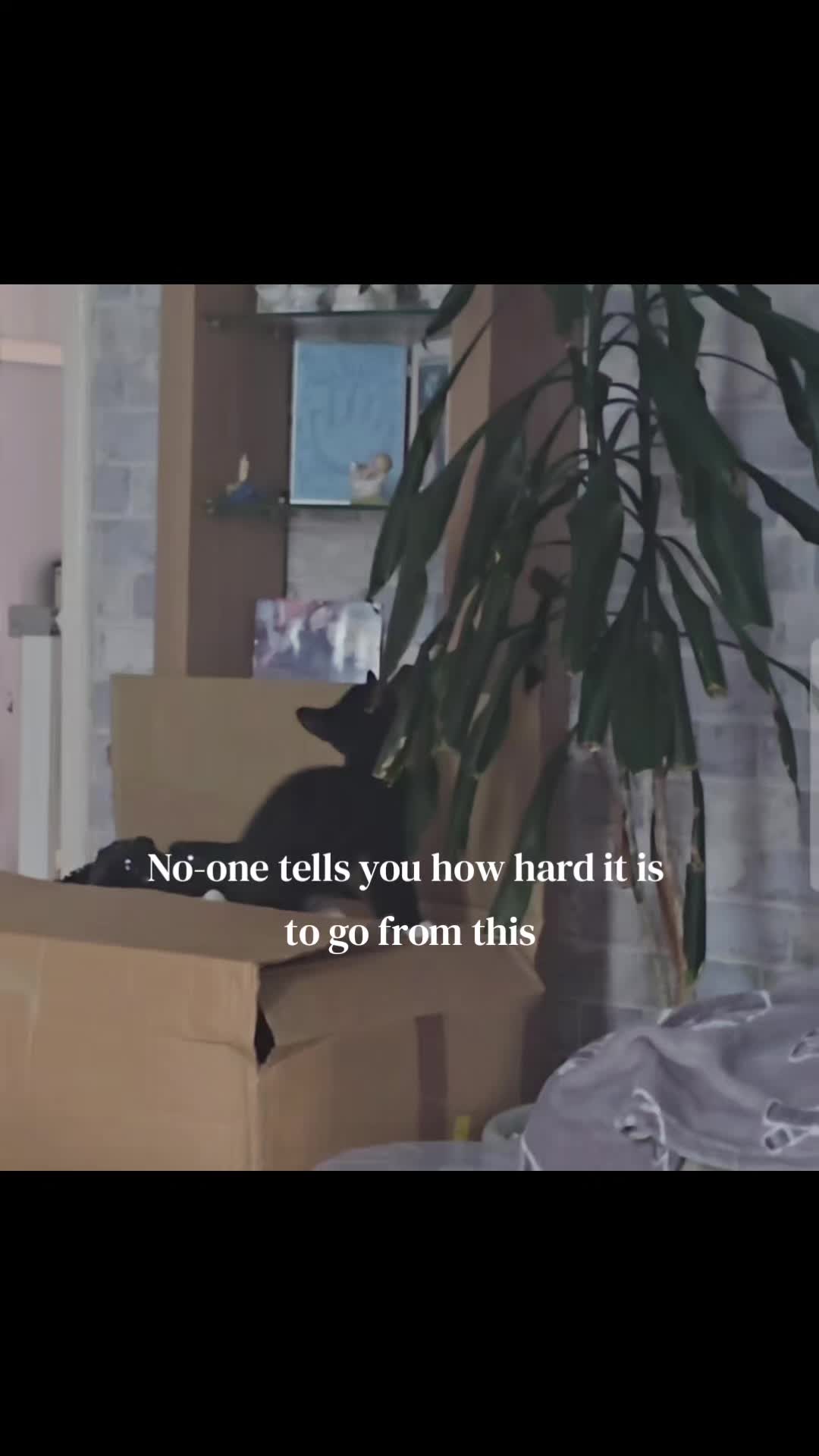 @finaandricco