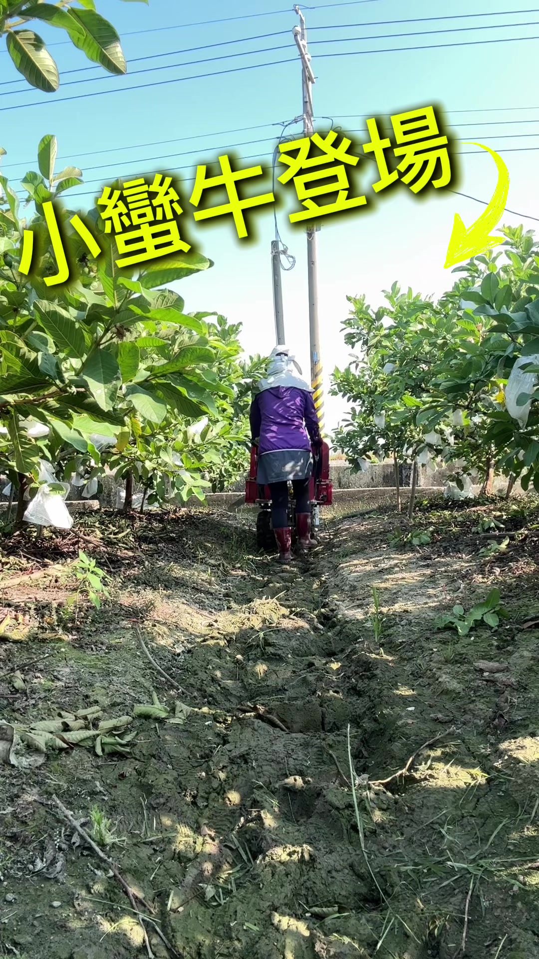 @滿幸福果園