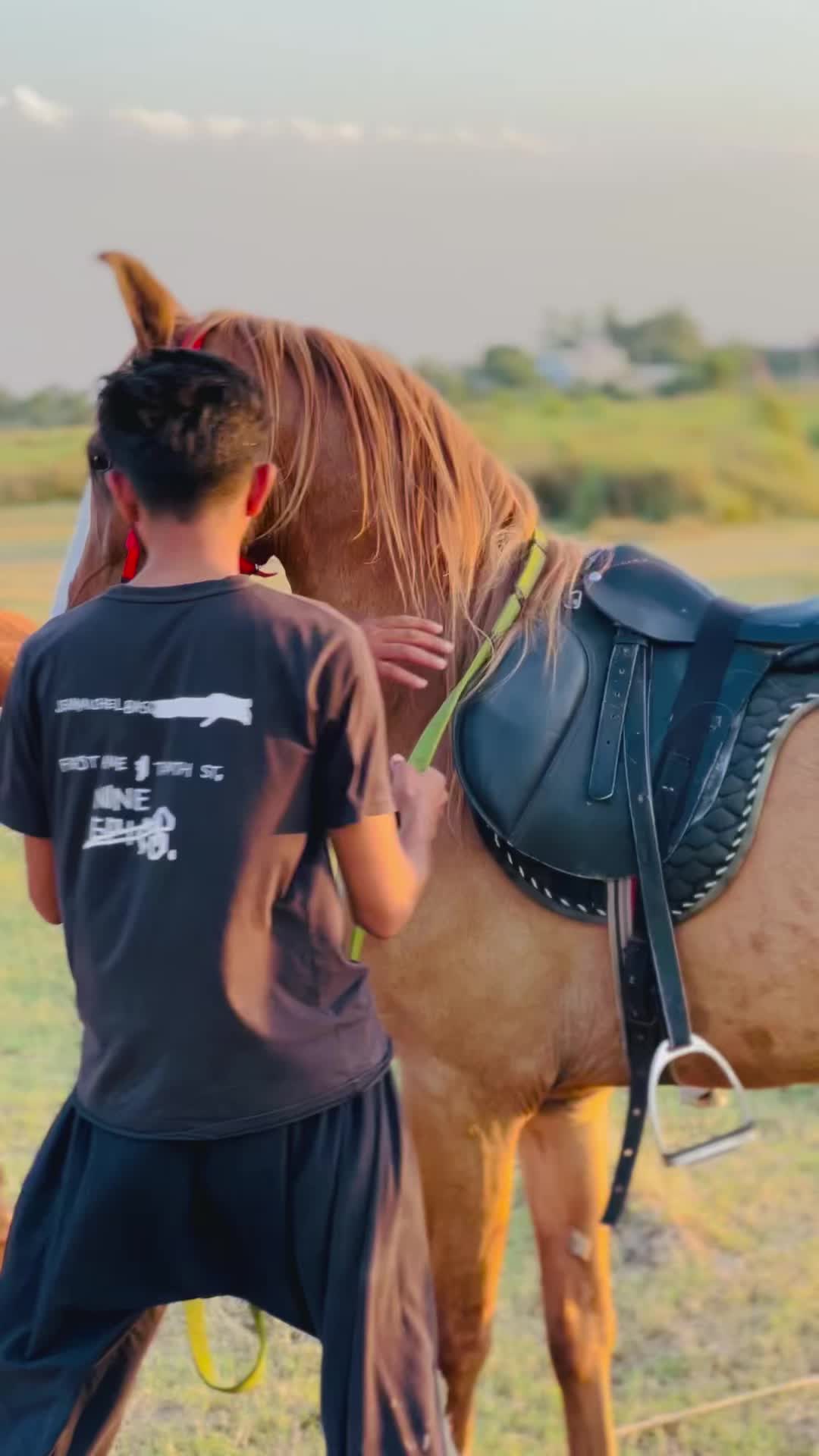 @Ch Hammad bokan ♥️🐎