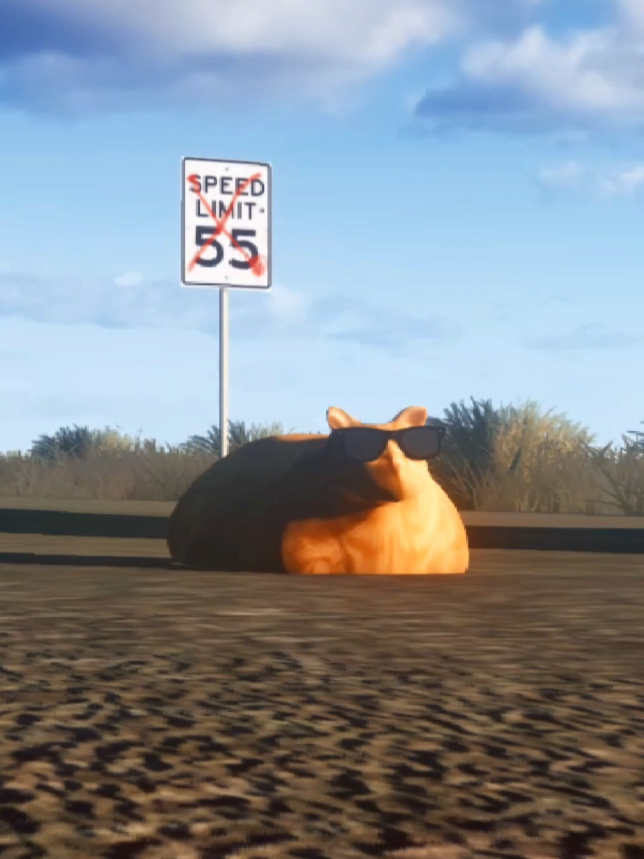 @Pablo the Race Cat