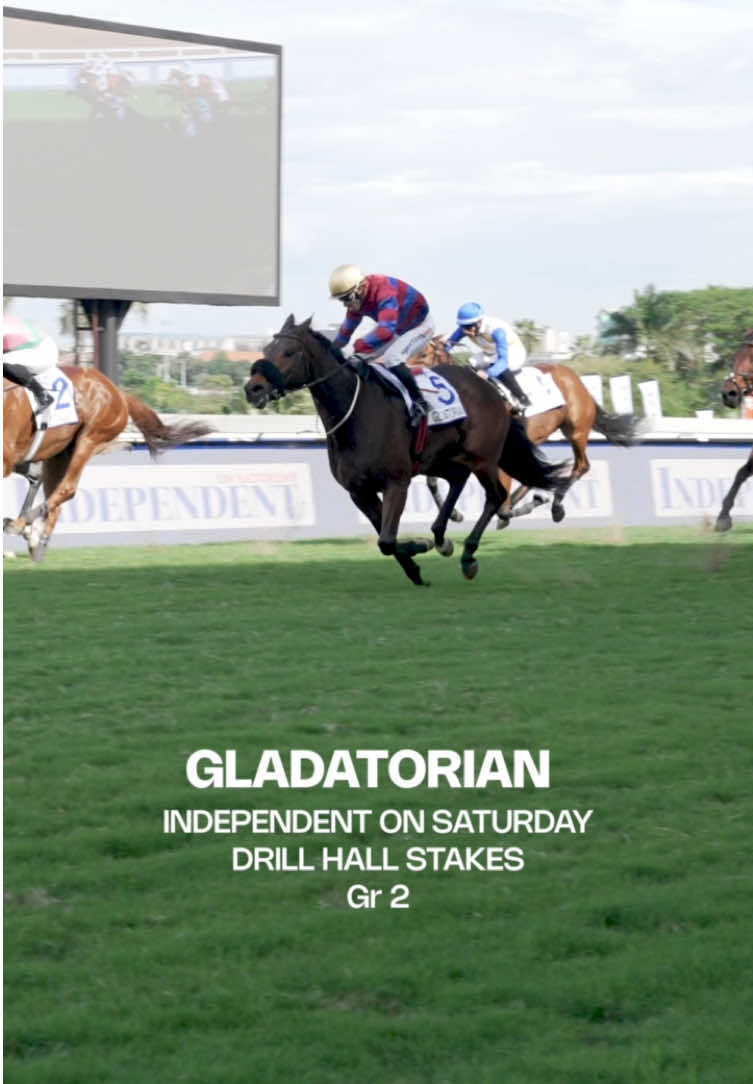 @Gallop TV