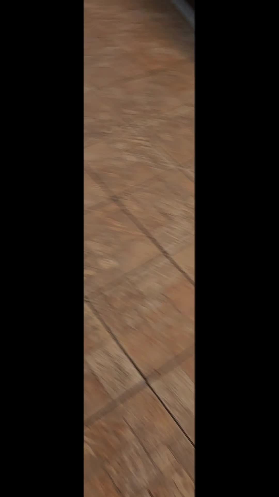 @doina