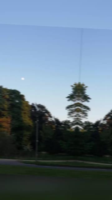 @Galaxy65