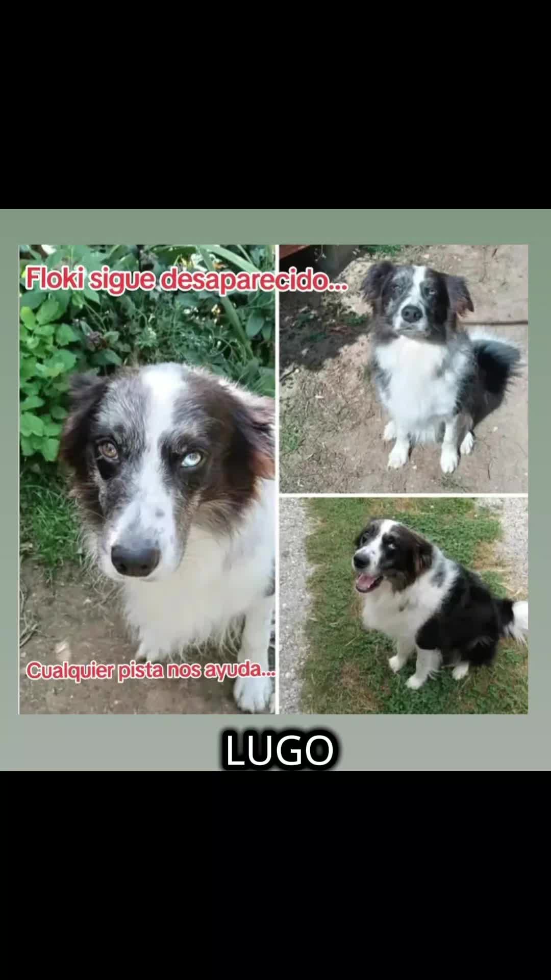 @@scherezade1982