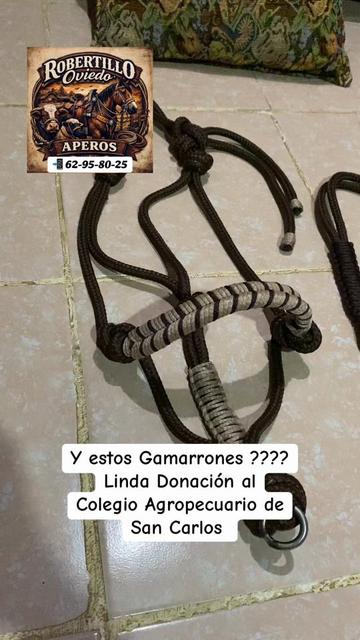 @RobertilloOviedo