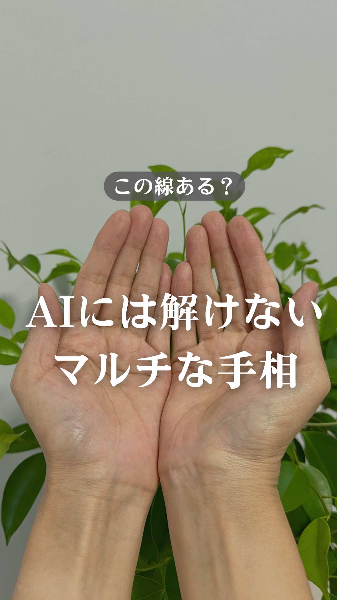 @shizue_tesou