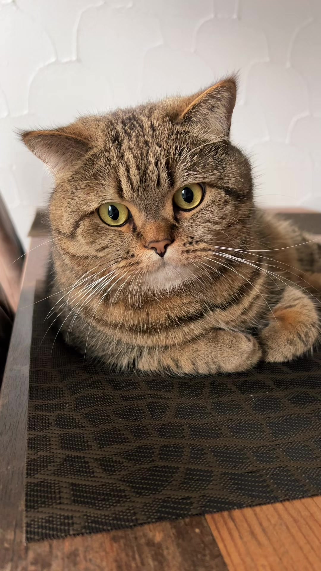 @Джоні 😻