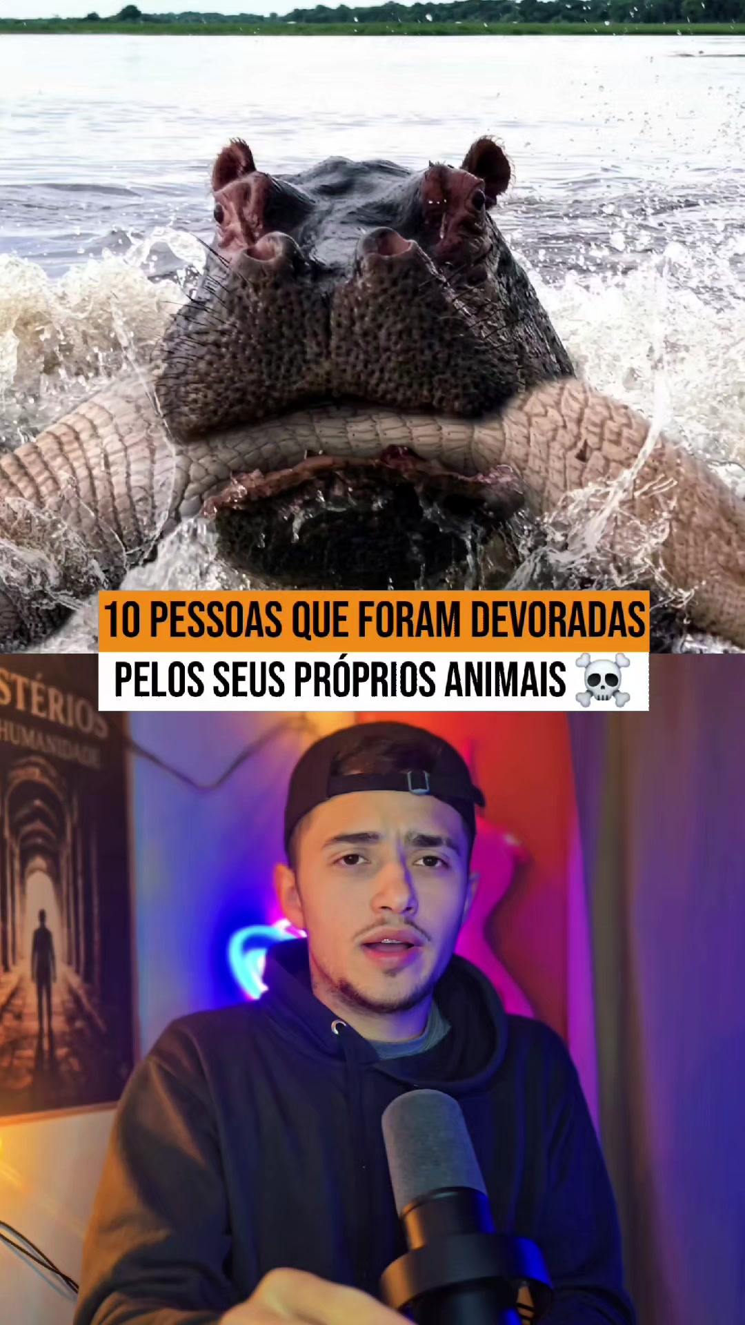 @Oito Mundos 🌎
