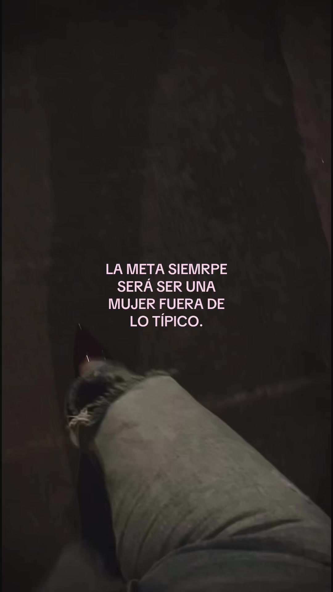 @domi