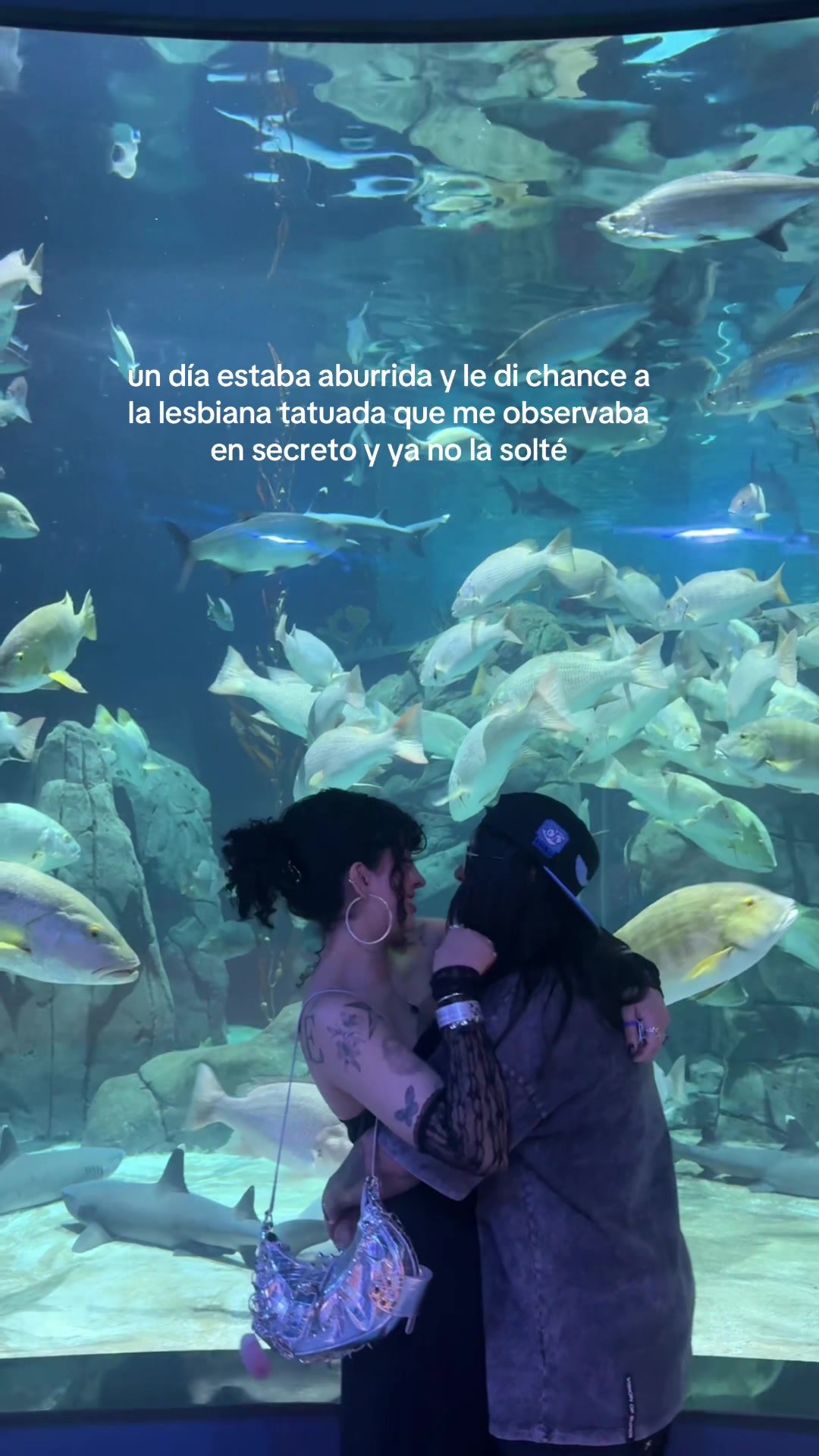 @Sof🦈