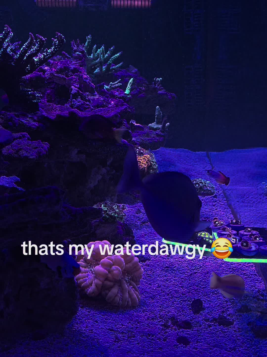 @Mike Sanchez