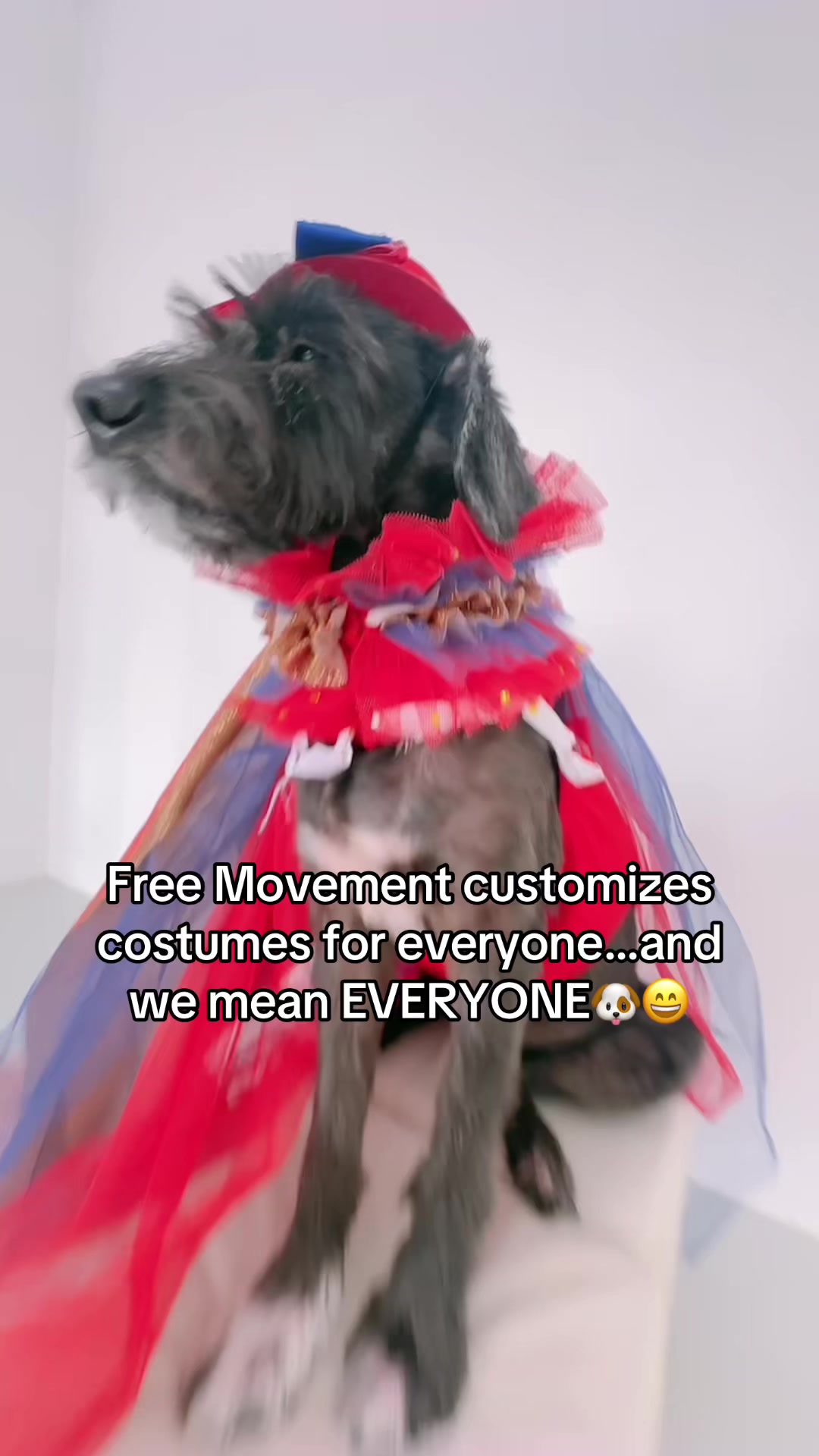 @Free Movement Dance Solutions