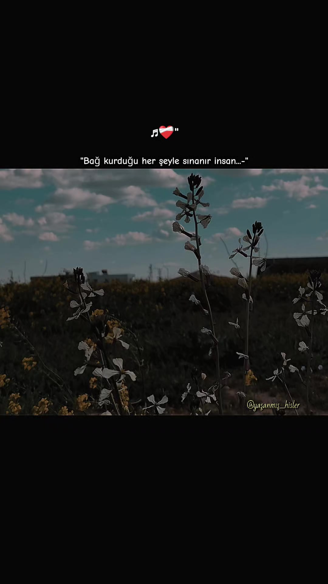 @•ʏᴀꜱ̧ᴀɴᴍɪꜱ̧ ʜɪ̇ꜱʟᴇʀ•
