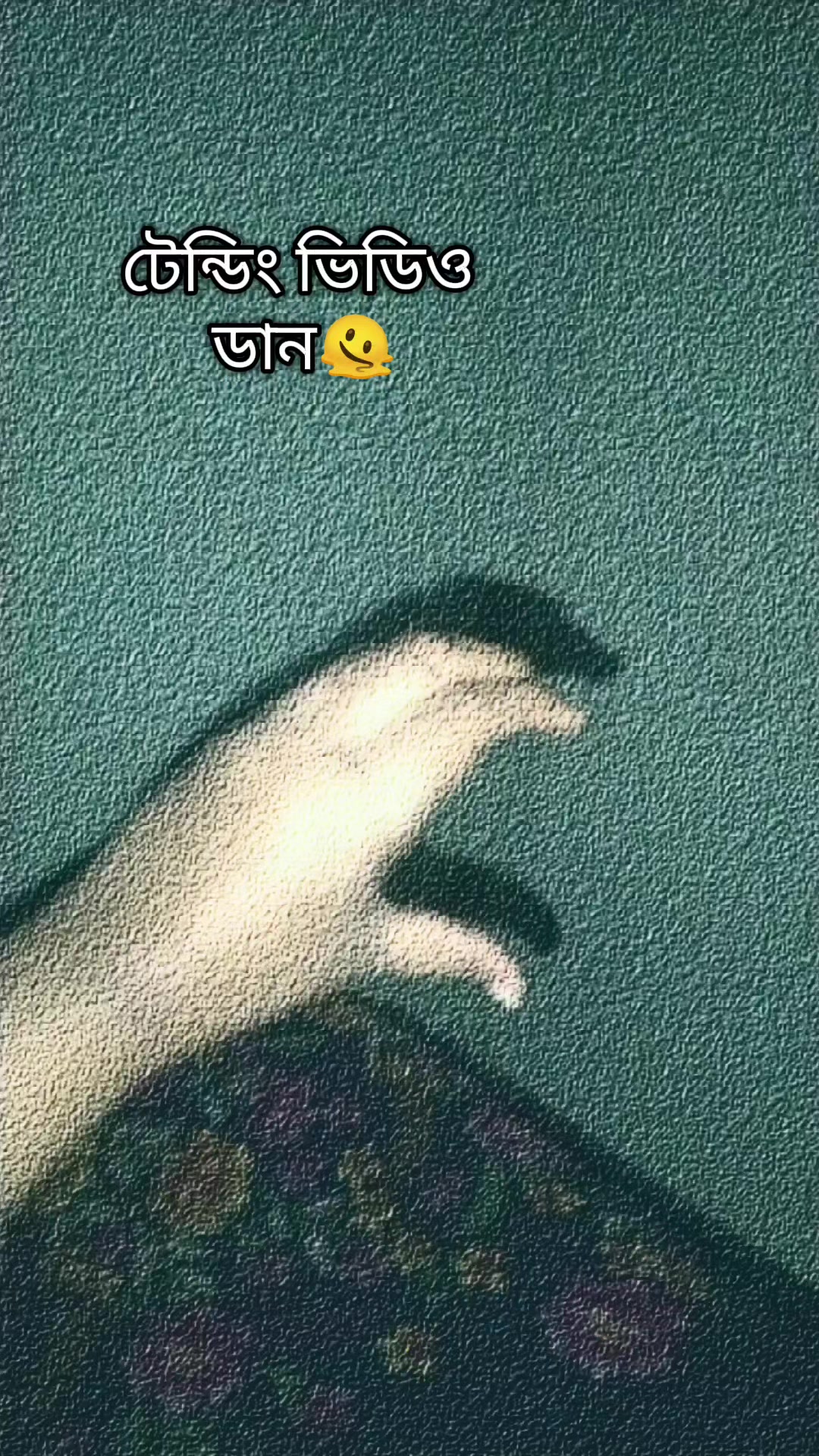 @⏤͟͟͞͞★Rꪊʜᴀᴅ's 𝗪𝗶𝗳𝗲𝗲𝗲ꨄ︎
