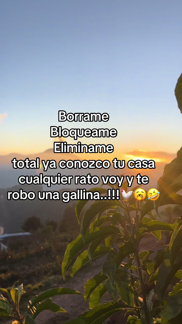 @🧃fracesgtjr🧃