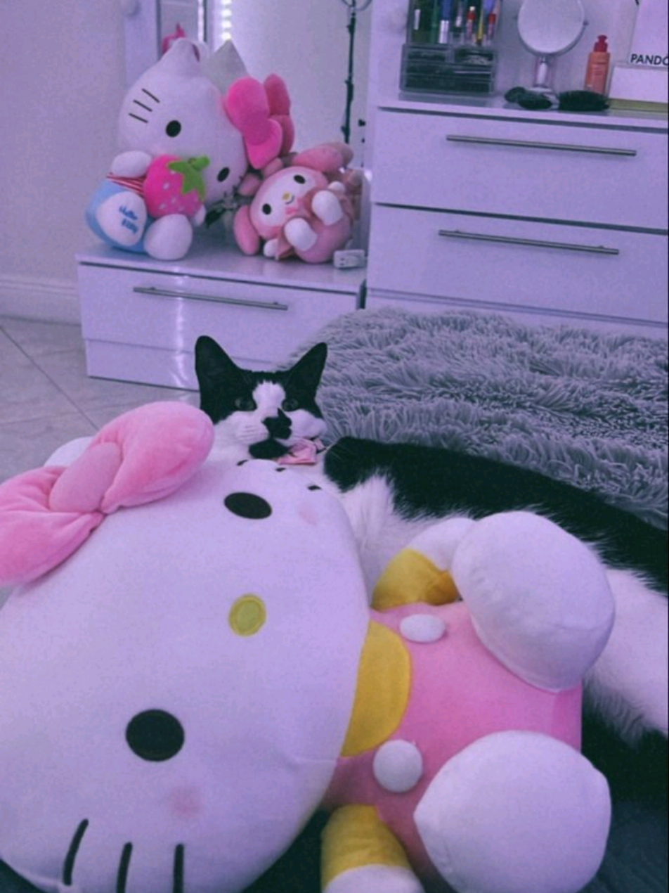 @𝐋𝐢𝐧𝐨𝐮𝐜𝐡 🇫🇴🪐