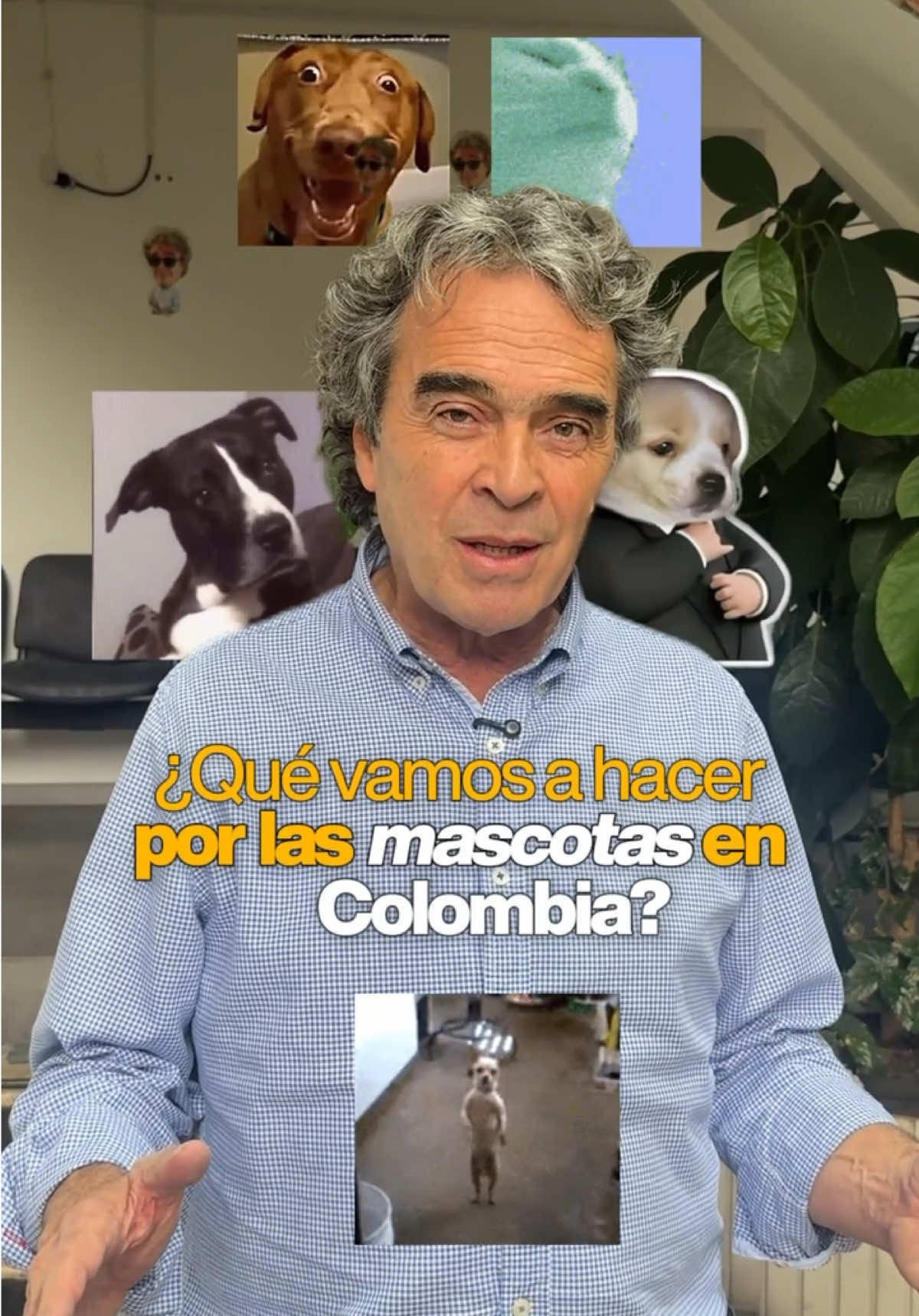 @Sergio Fajardo