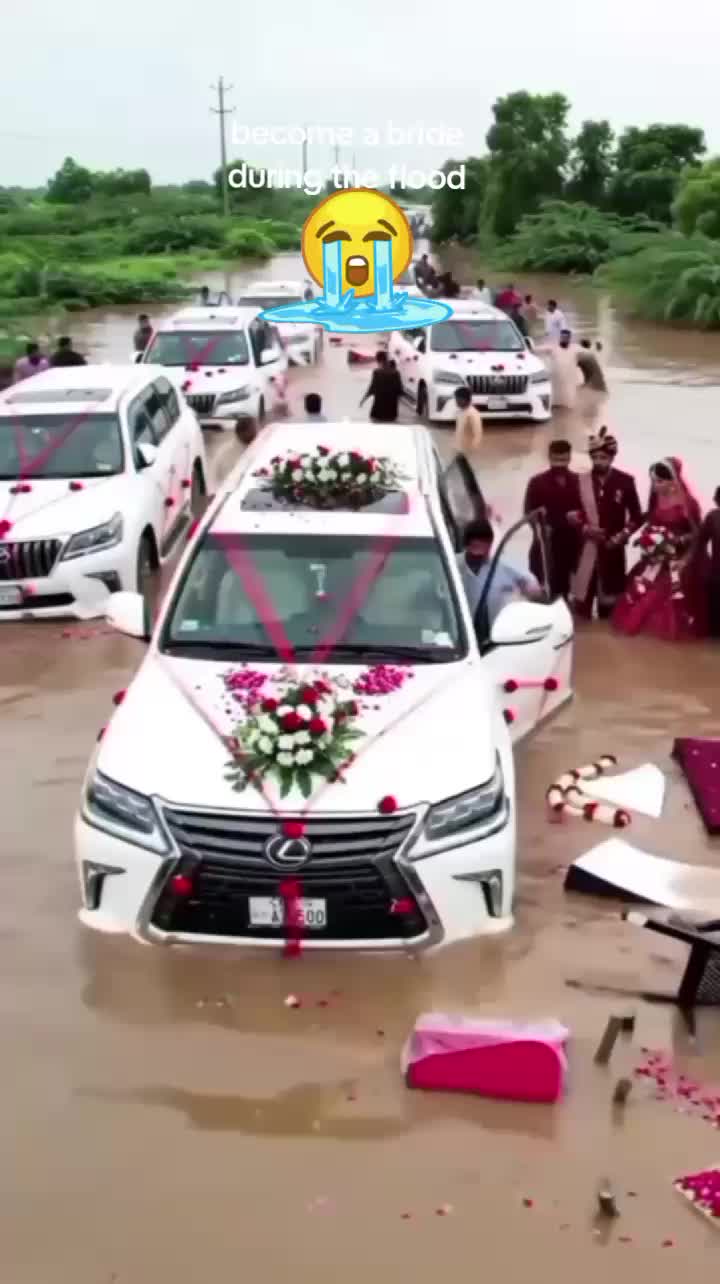 @@Ani 123🇮🇩