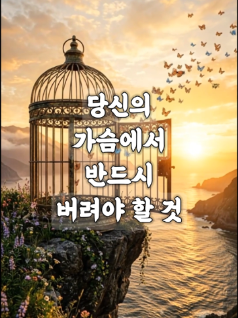 @빛의 씨앗