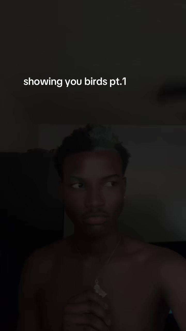 @Dlai