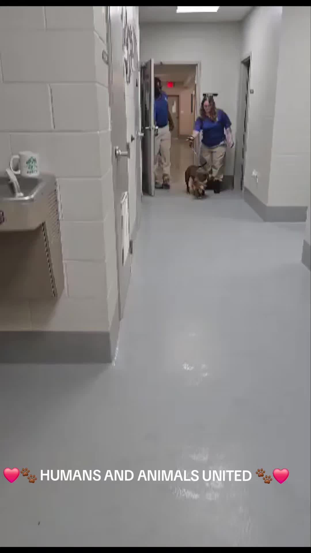 @HumansAndAnimalsUnited