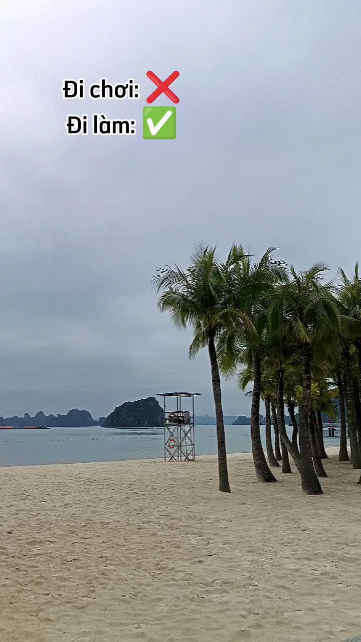 @dinhtrongglaw