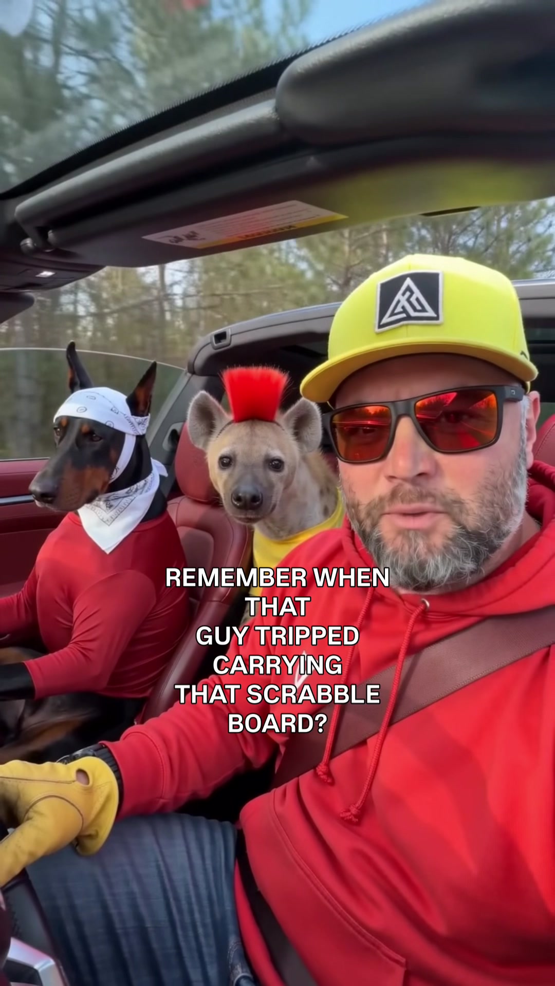 @EddieTheHyena