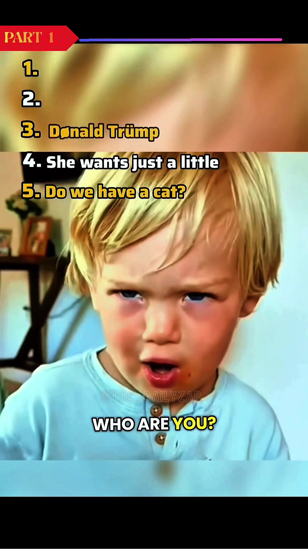 @the_dailyzap