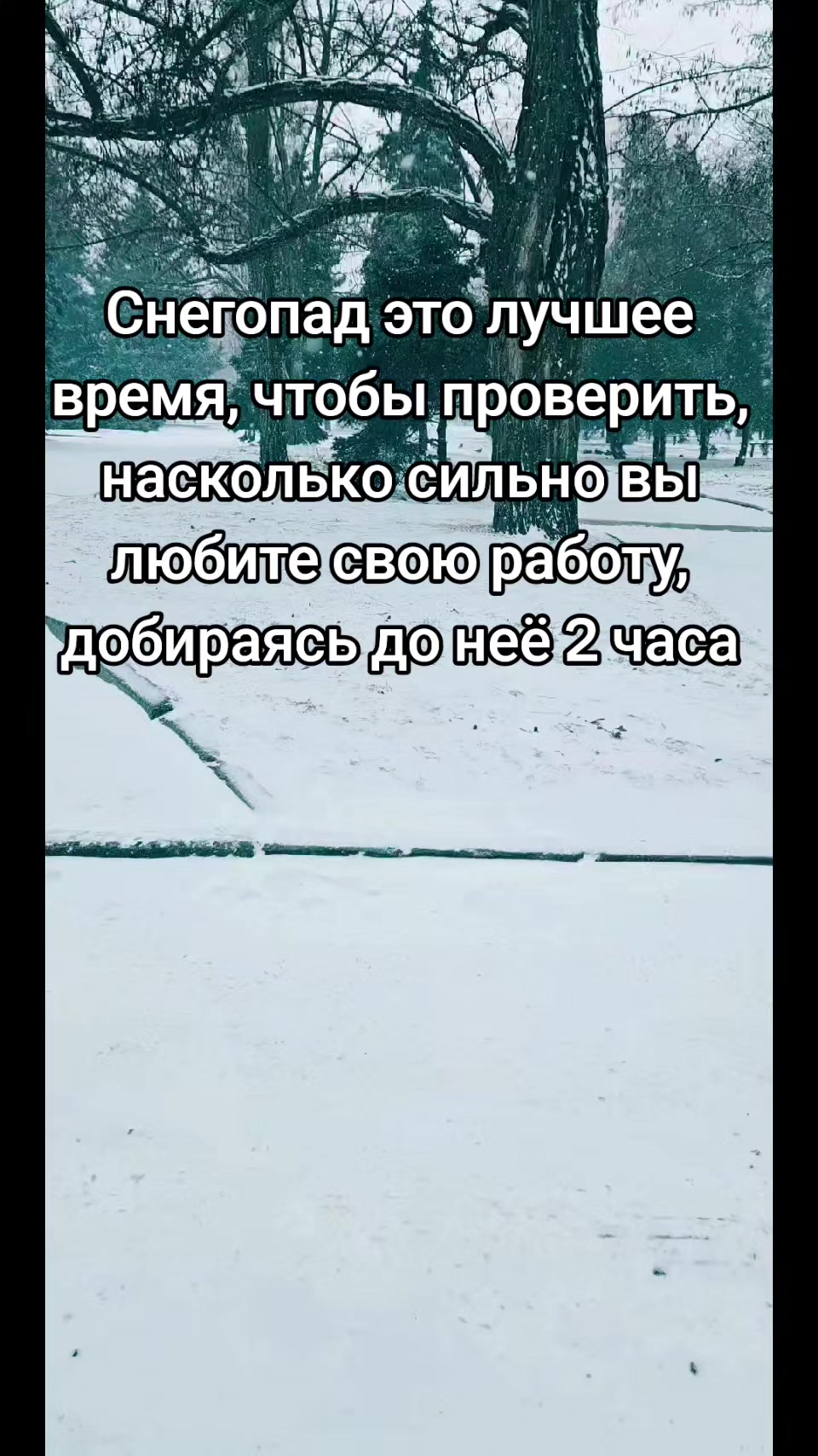 @Ирина Павловна