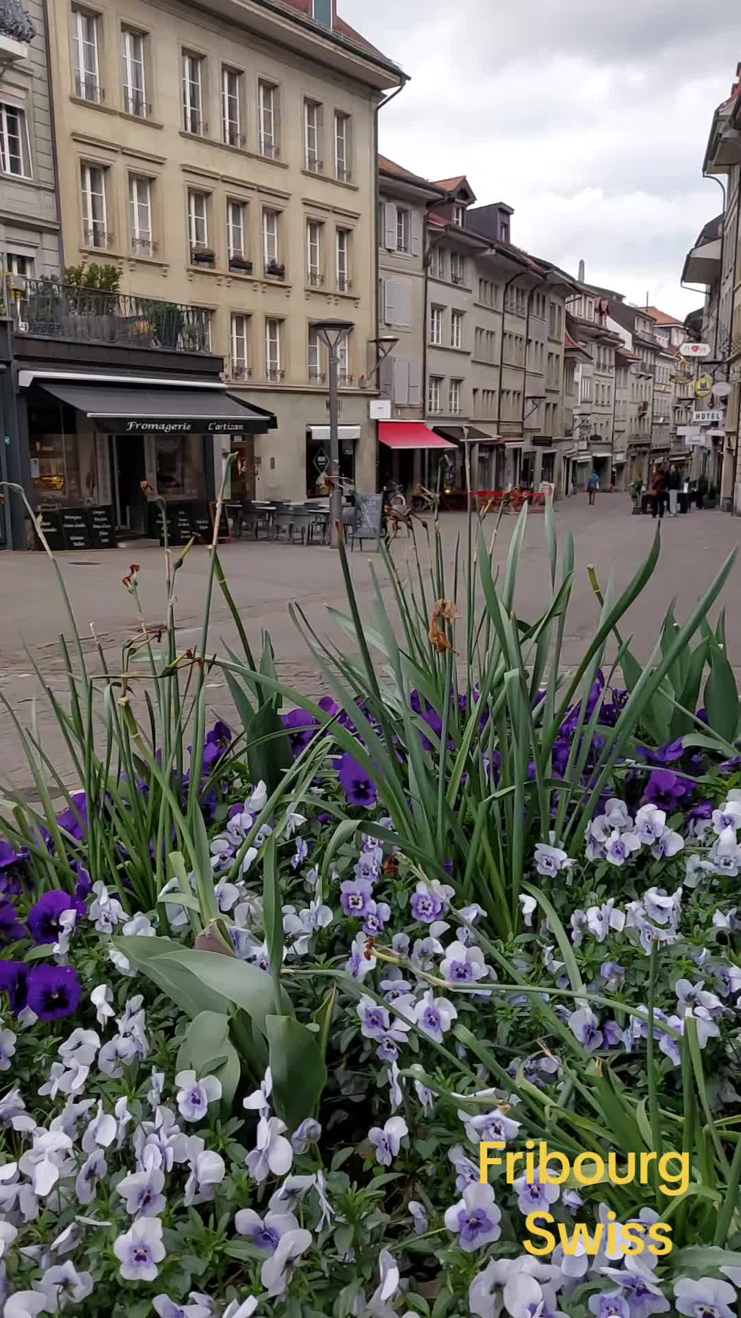 @Vladzik67