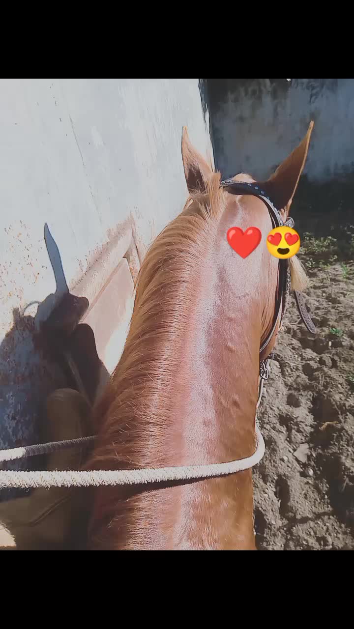 @Juan Anzola 🤠