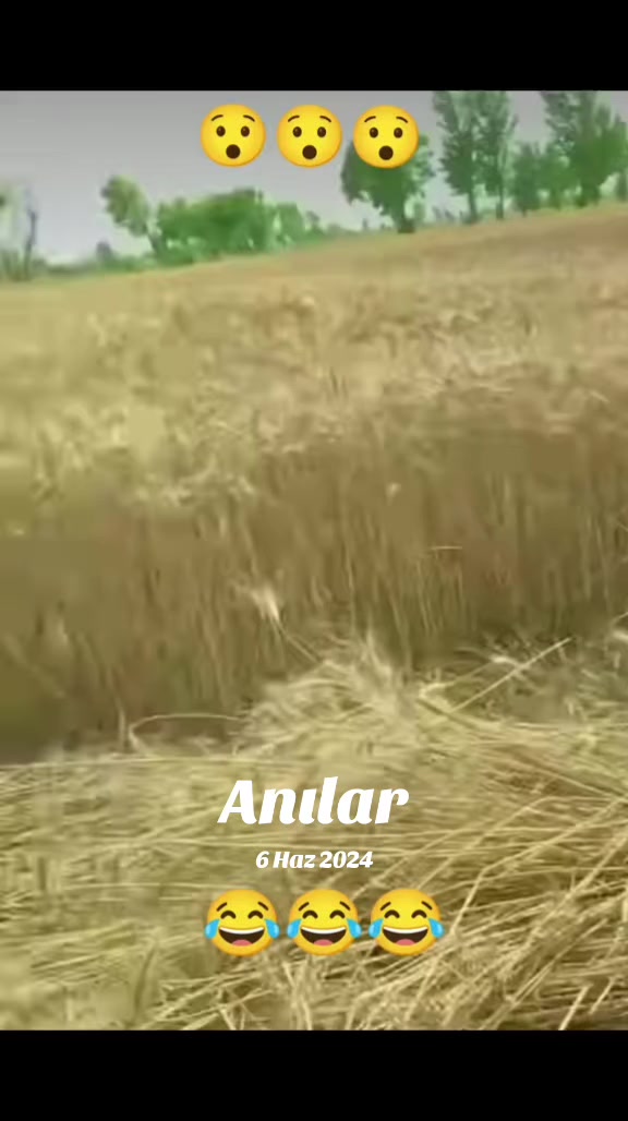 @Kömür Gözlüm