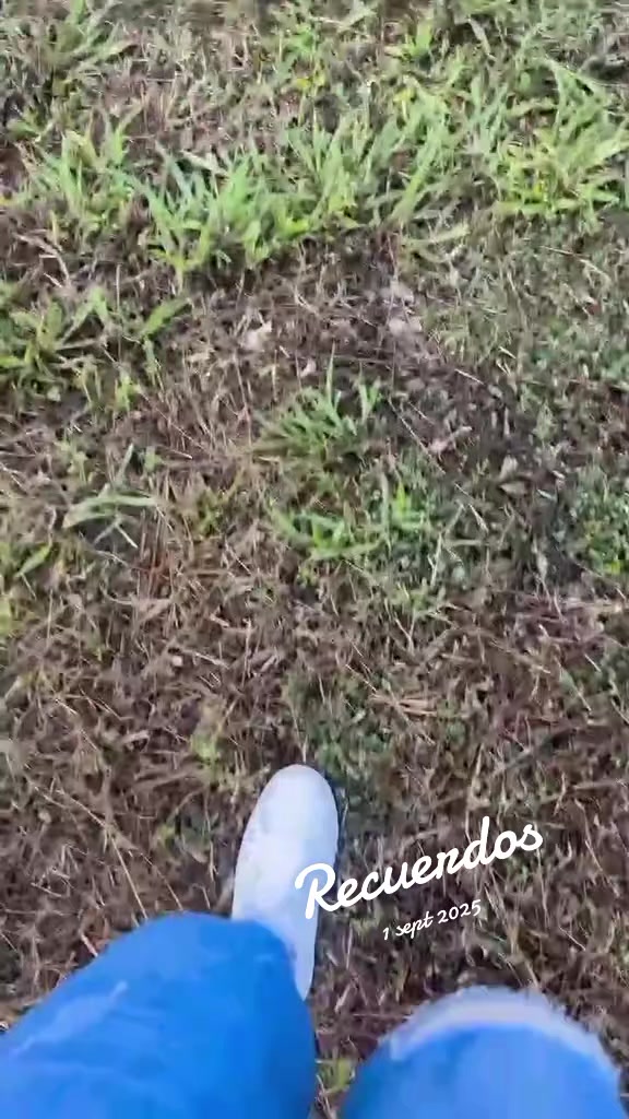 @Wilfredo Caro