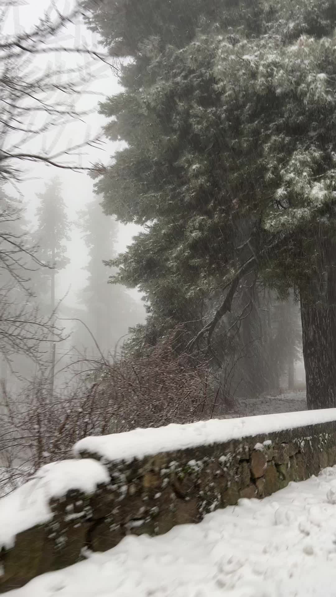 @Utentesconosciuto_17