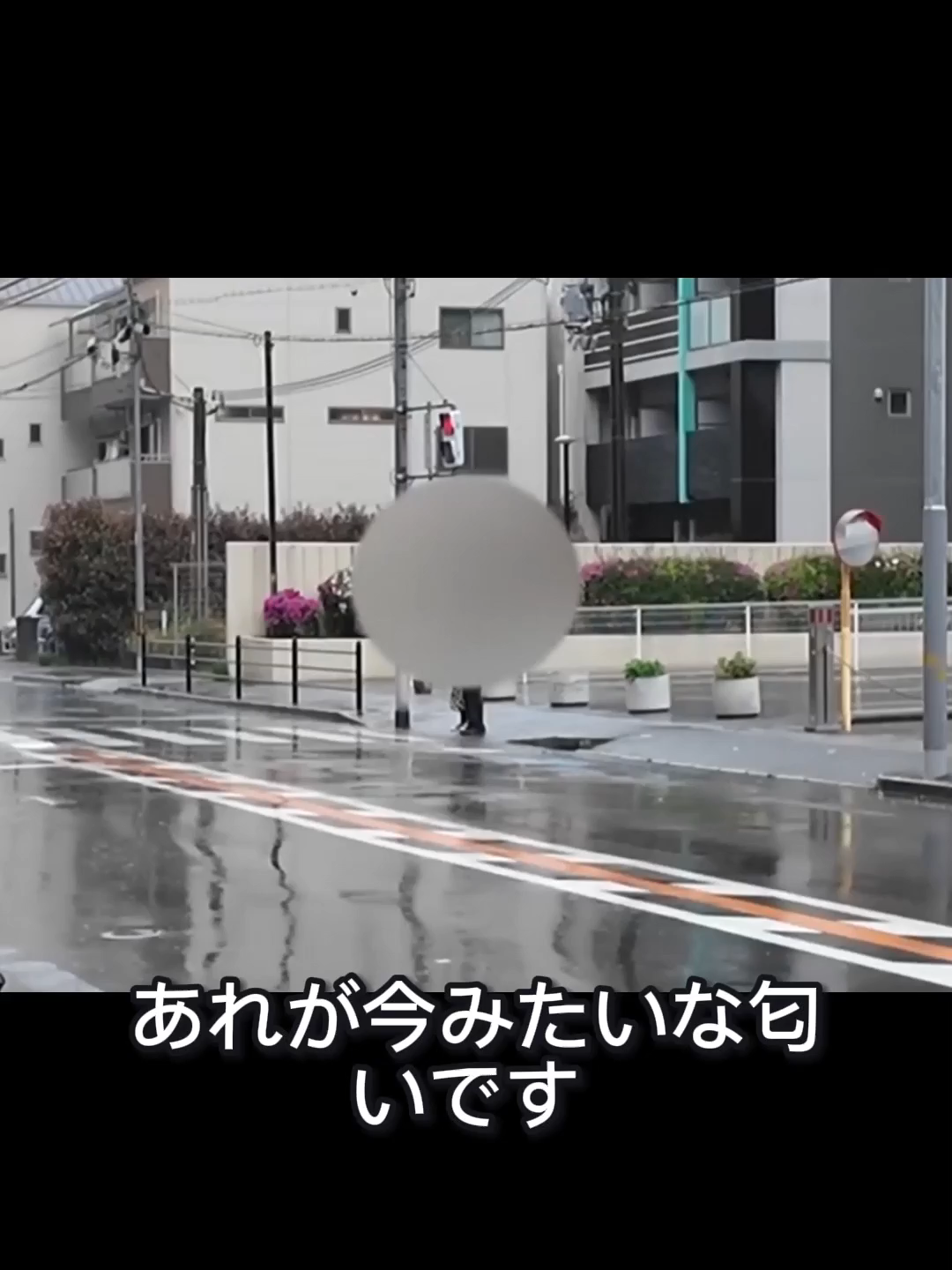 @ネタパレ