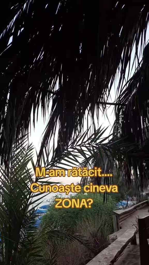 @Mihaela Flory