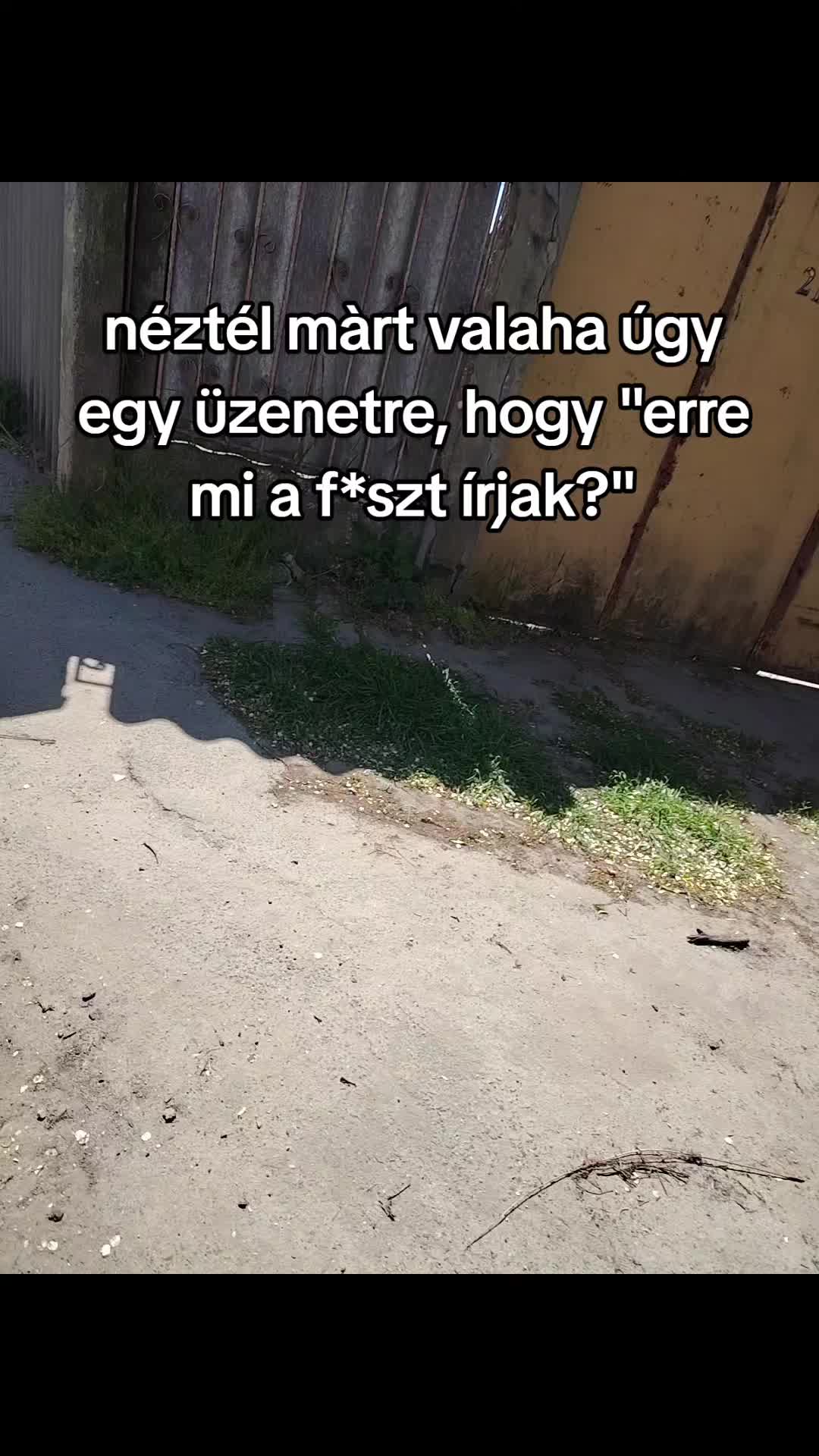 @Hannas_12